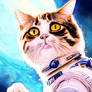 boundless Astronaut Space Cat possibilities Cats F