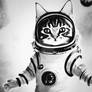 boundless possibilities Astronaut Cat Funny Space