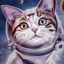 Funny Cat Astronaut possibilities Space boundless