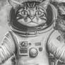 boundless Cat Cats Space possibilities Astronaut F