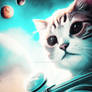 Cat Cats Space boundless Astronaut possibilities F