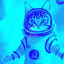 Cat Funny boundless Astronaut Cats Space possibili