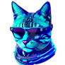 Hip Sunglasses vibrant Cat Cool Kitty