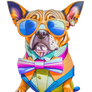 Animal Cool sunglasses Dog Funny Sunglasses Animal