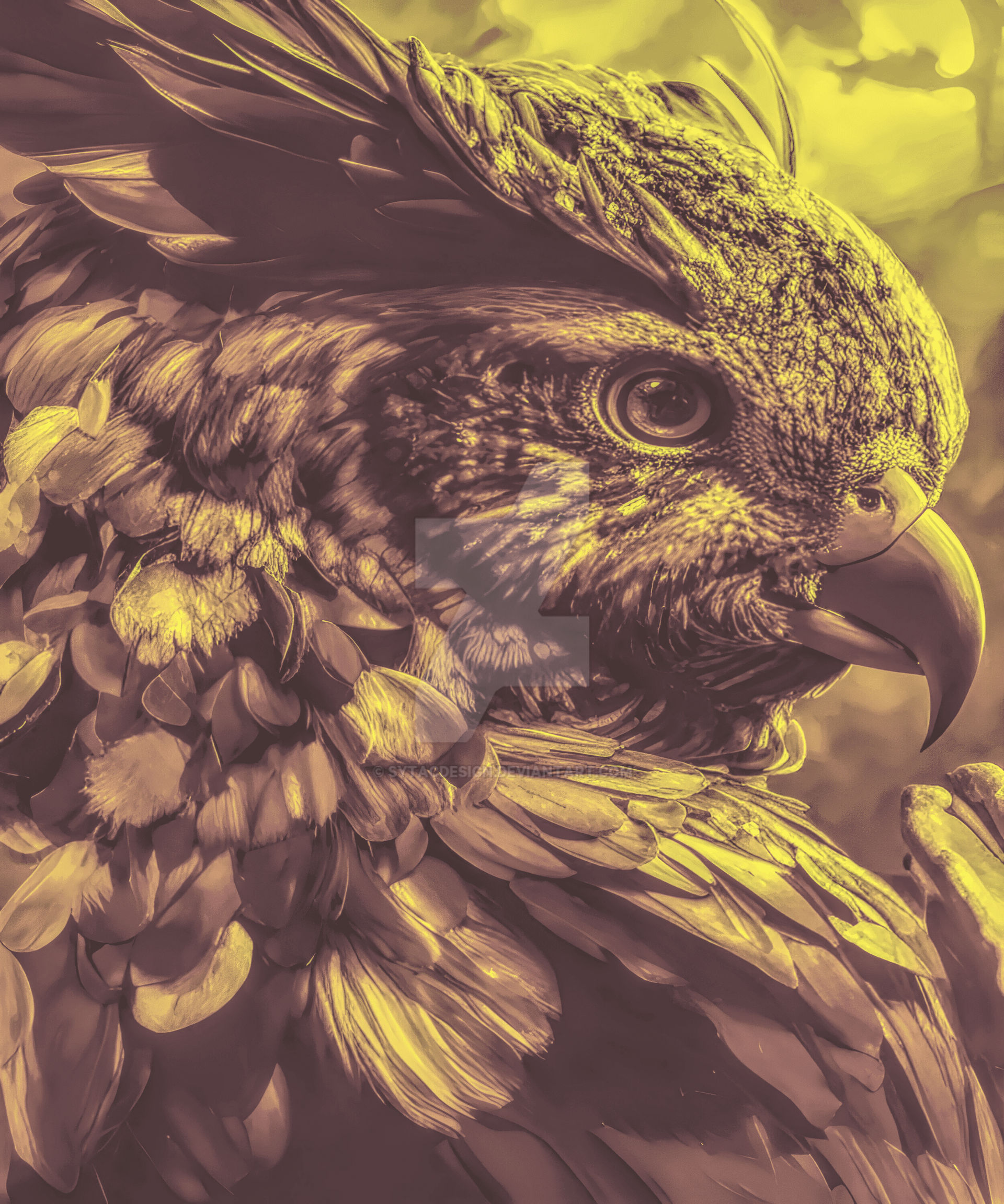 Eagle Crow Colorful Nature halloween Feathers Bird by sytacdesign on ...