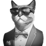 Cool avatar trendy Cat Kitty animal Sunglasses Hip
