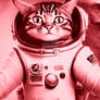 Cat Cats possibilities boundless Astronaut Space F