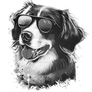 Sunglasses basset dog Cool dog Animal Funny Dog ho