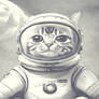 Astronaut Cat Space Black Cat Cats Funny