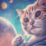 Possibilities Astronaut Boundless Cat Cats Space F