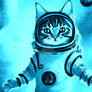 Possibilities Boundless Funny Cats Cat Astronaut S