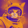 Cats Funny Space Boundless Possibilities Astronaut