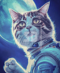 Possibilities Boundless Space Funny Cat Astronaut