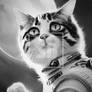 Cat Funny Cats Boundless Possibilities Space Astro