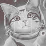 Funny Cat Possibilities Astronaut Cats Space Bound