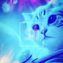 Boundless Possibilities Astronaut Cats Funny Space