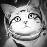 Space Cats possibilities Funny Cat boundless Astro