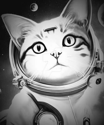 Space Cats possibilities Funny Cat boundless Astro