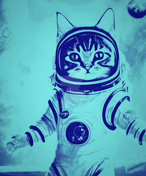 boundless Cat Funny Space possibilities Cats Astro