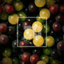 Fruit Healthy Texture Eating Fresh Grapes Grape Fo