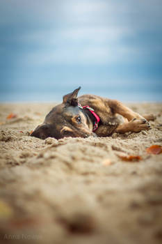 On the seaside