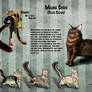 Maine Coon Orthographic Study