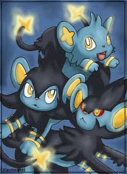 Shinx,Luxio,Luxray