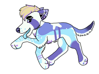 Sparkledog!