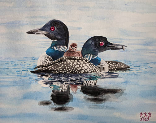 Common Loons Watercolor