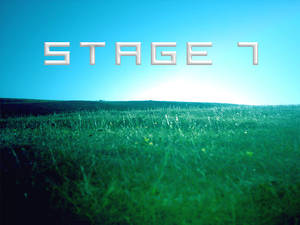 stage 7