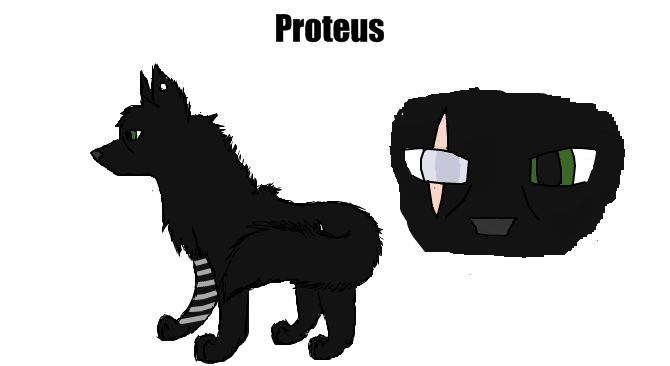 Proteus