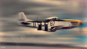 Warbird