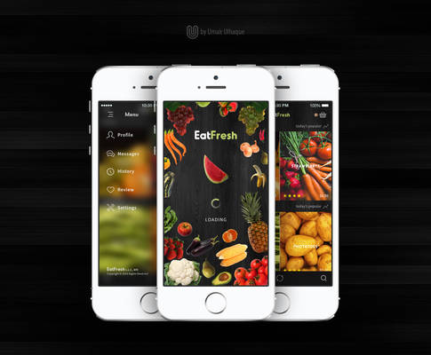 Organic Food Store App Concept