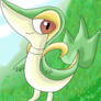 Snivy