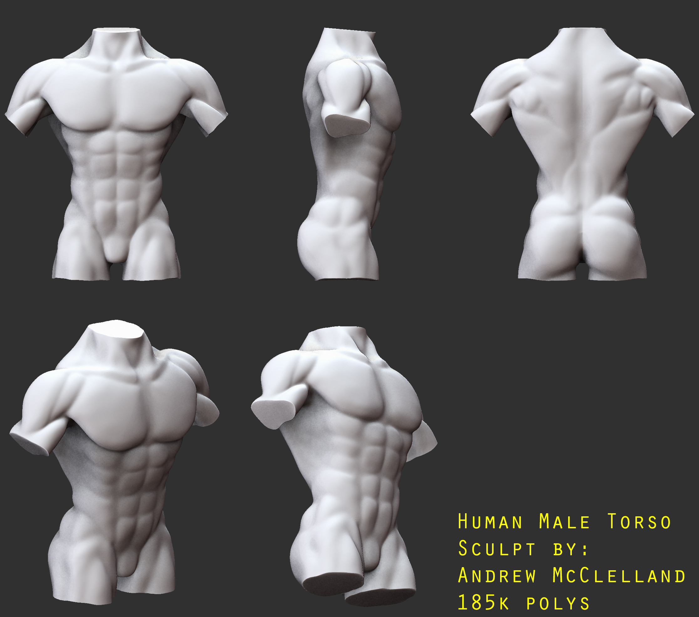 Human Male Torso Anatomy Study By Gaulica On Deviantart