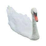 Swan 3 PNG..