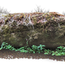 Giant Log PNG..