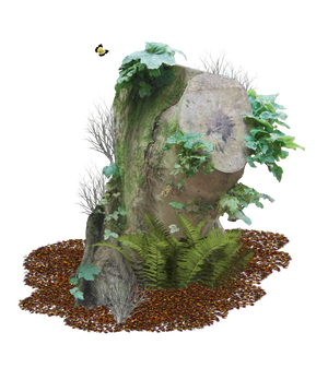 Tree Stump PNG..