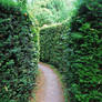 Narrow Pathway..