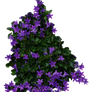 Purple Flowery Bush PNG..