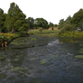 Pond Stock PNG..