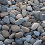 Pebbles Stock..