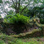 Old Cottage Ruin 01..