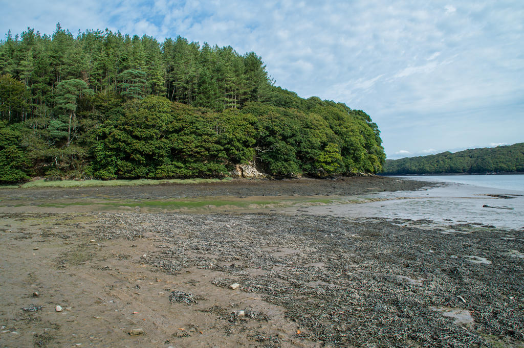 Muddy Shoreline Stock..