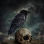 The Crow And The Skull..