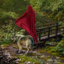 Red Riding Hood..