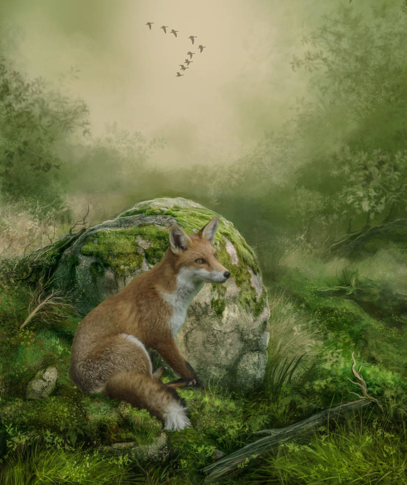 Red Fox.. by AledJonesDigitalArt on DeviantArt