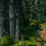 Premade Background 01 March 2020..