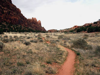 A Well Worn Path