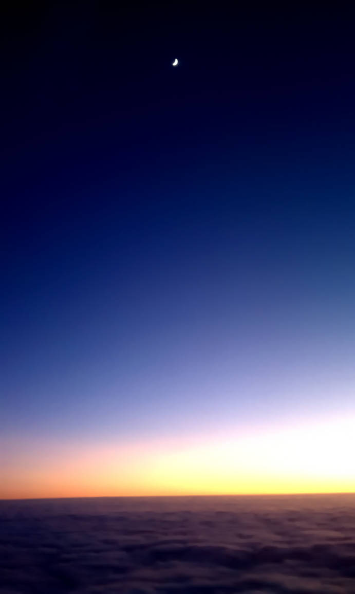 Caught Between the Moon and New York City